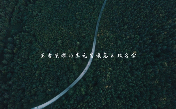 王者荣耀的李元芳该怎么改名字